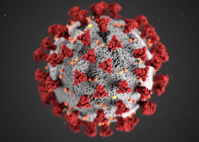 Cuidados y mandatos de género en hombres que enfermaron de covid-19 durante la pandemia en México 