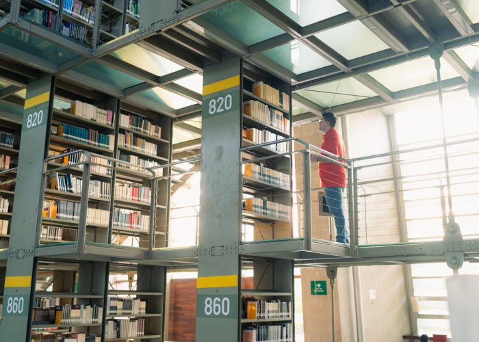 Miradas diversas para abordar los procesos socioeducativos en las sociedades contemporáneas